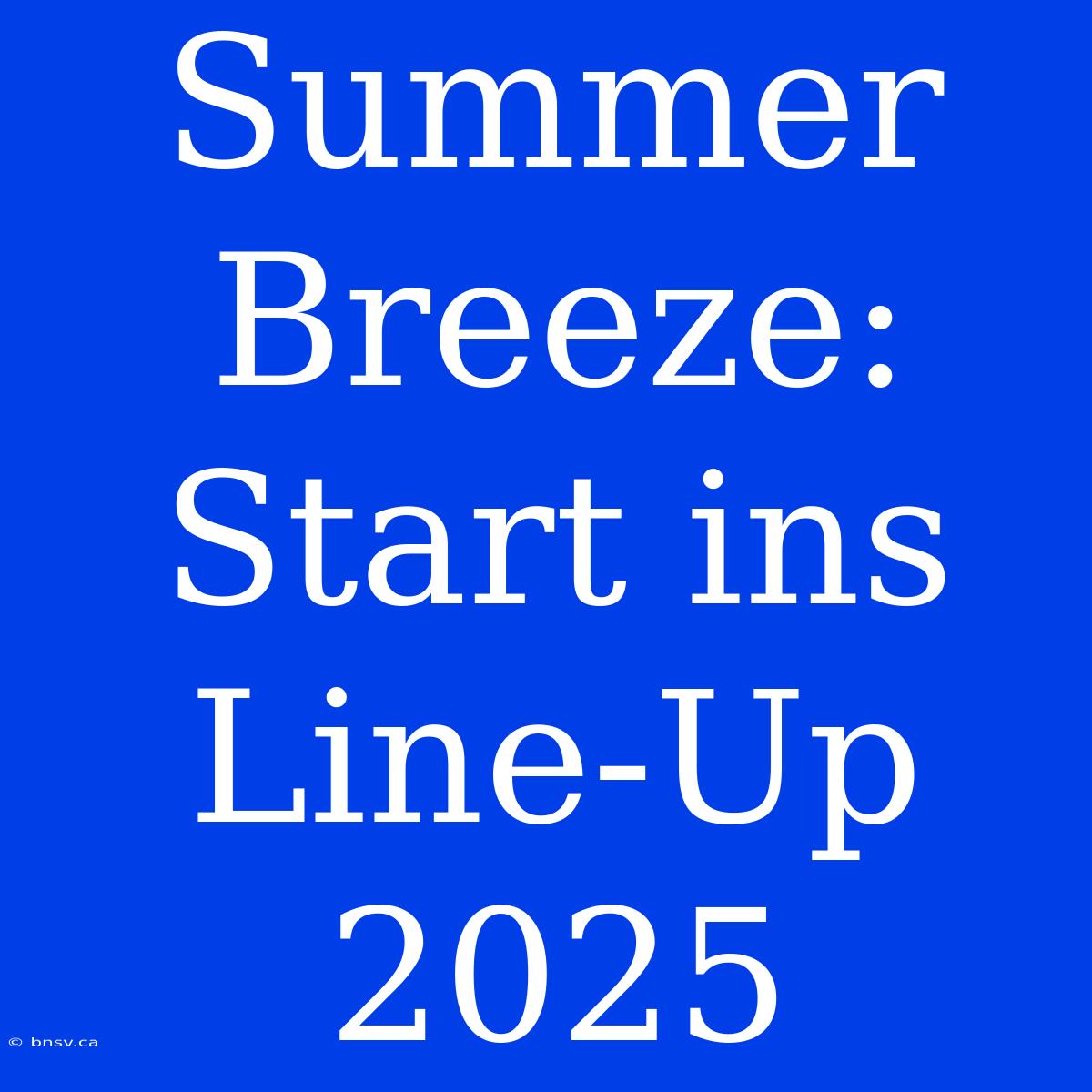 Summer Breeze: Start Ins Line-Up 2025