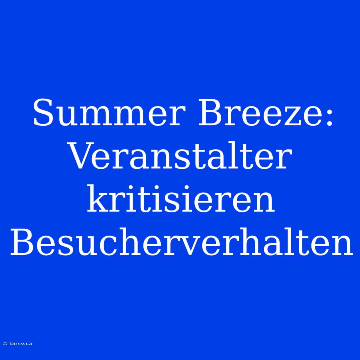 Summer Breeze: Veranstalter Kritisieren Besucherverhalten