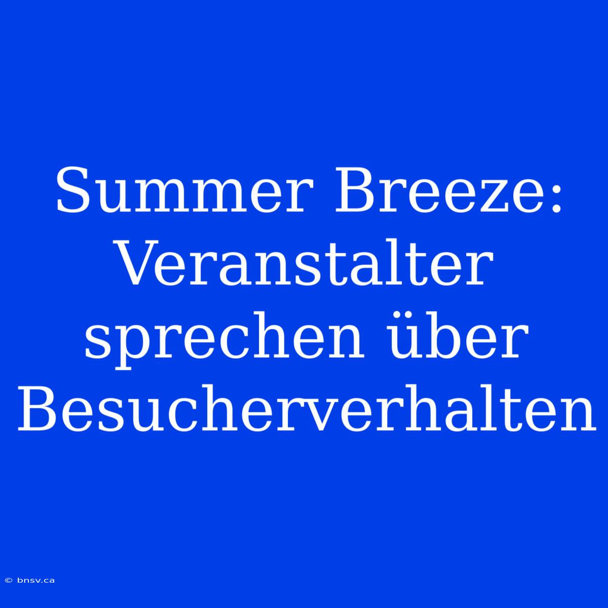 Summer Breeze: Veranstalter Sprechen Über Besucherverhalten