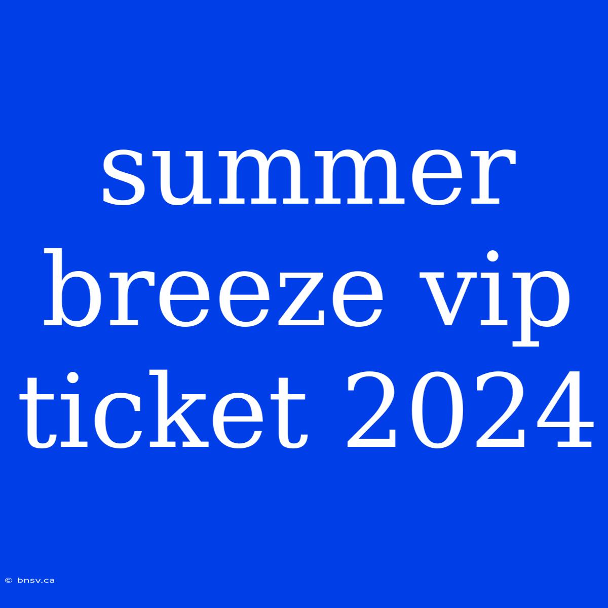 Summer Breeze Vip Ticket 2024