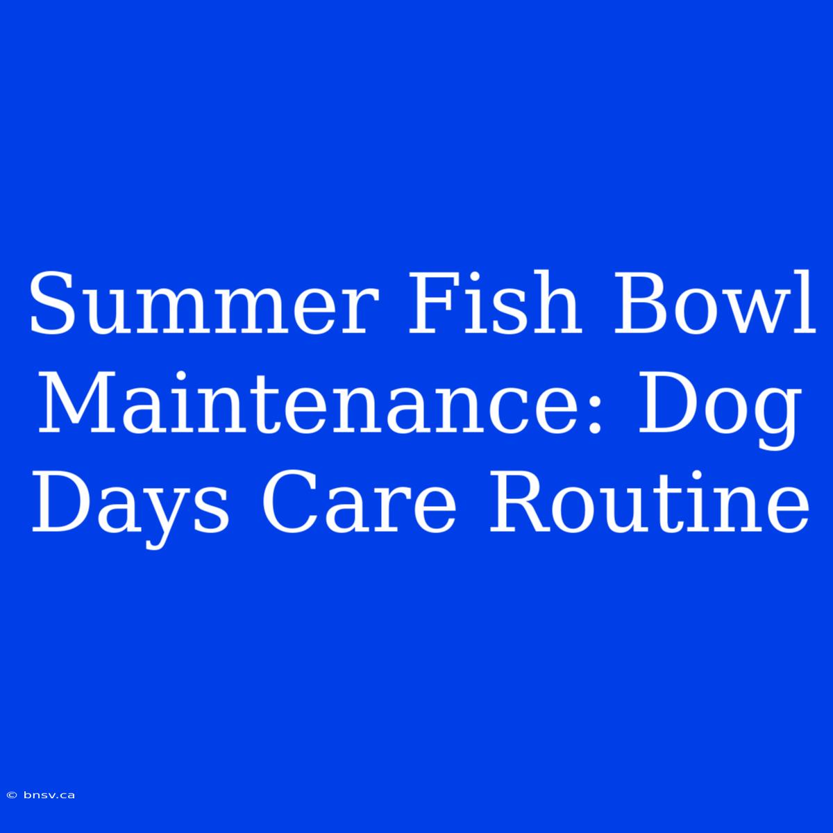 Summer Fish Bowl Maintenance: Dog Days Care Routine