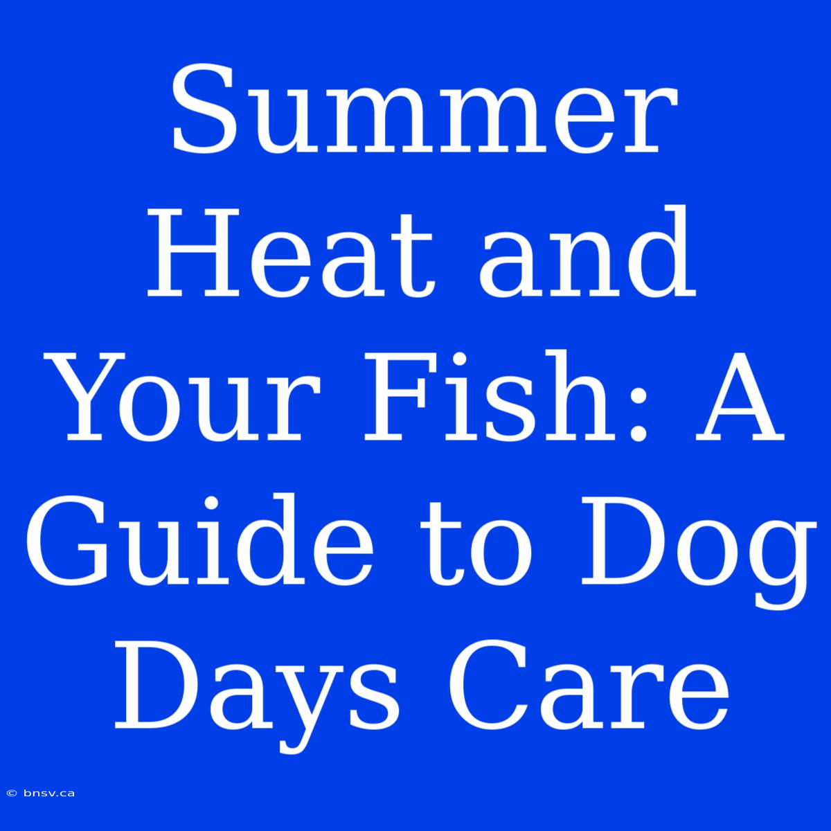 Summer Heat And Your Fish: A Guide To Dog Days Care