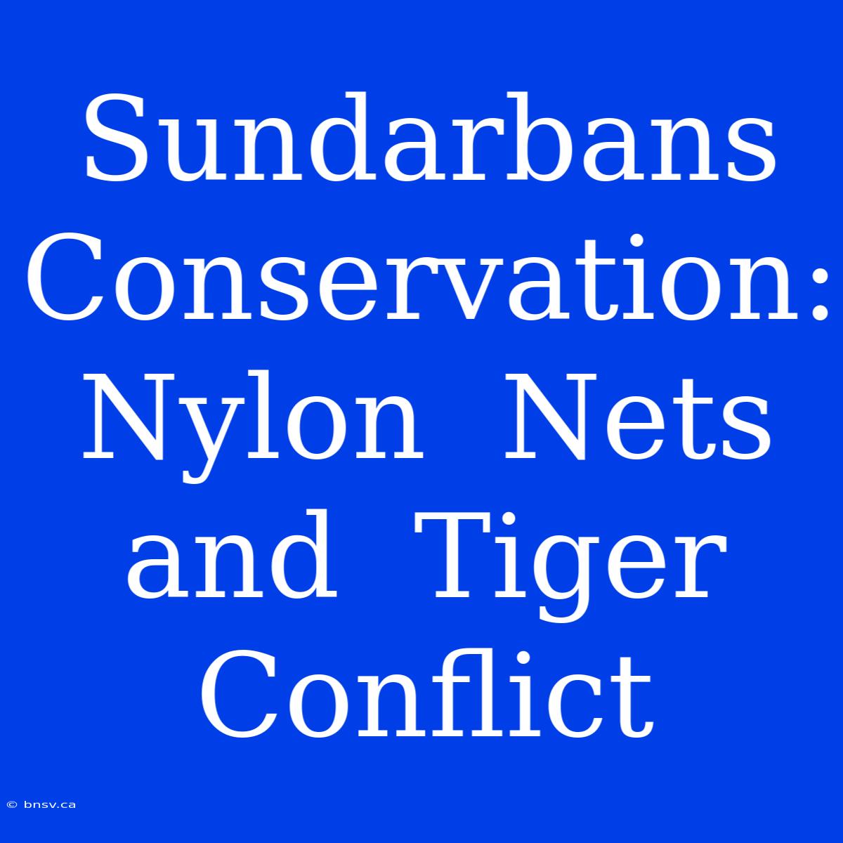 Sundarbans  Conservation:  Nylon  Nets  And  Tiger  Conflict