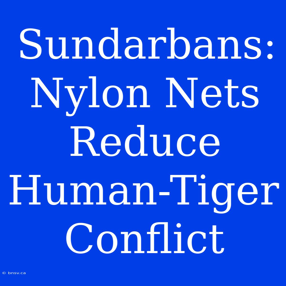 Sundarbans:  Nylon Nets  Reduce  Human-Tiger  Conflict