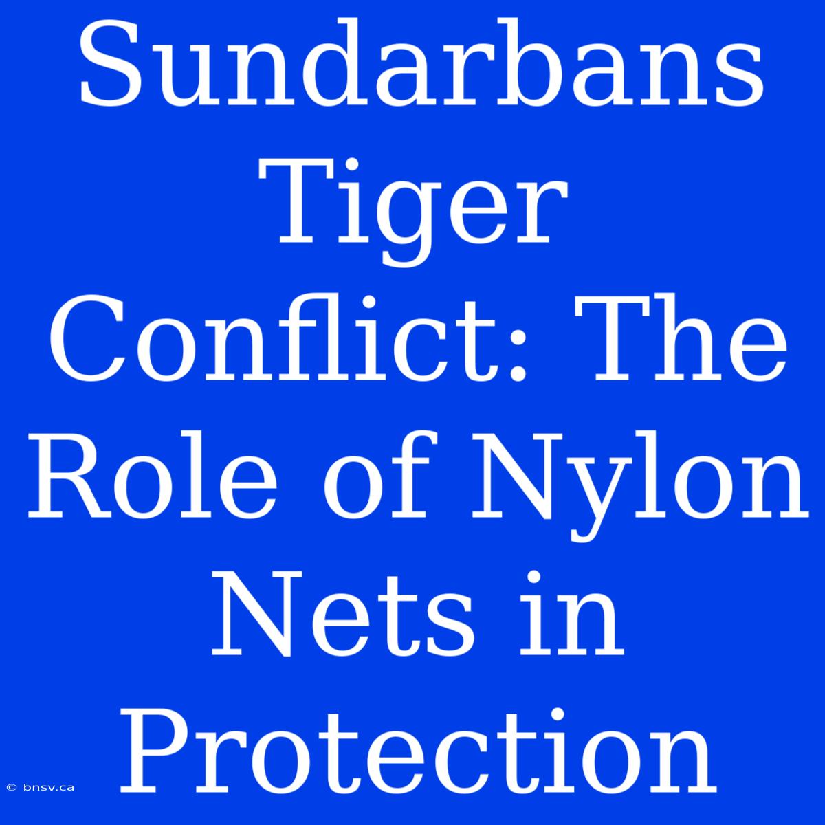 Sundarbans Tiger Conflict: The Role Of Nylon Nets In Protection