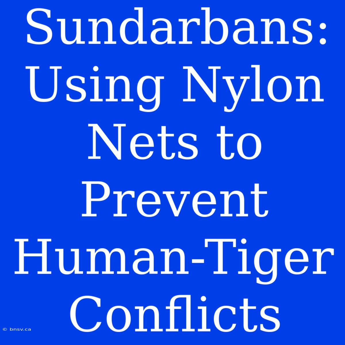 Sundarbans: Using Nylon Nets To Prevent Human-Tiger Conflicts