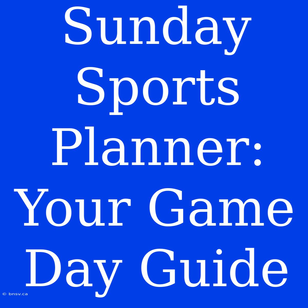 Sunday Sports Planner: Your Game Day Guide