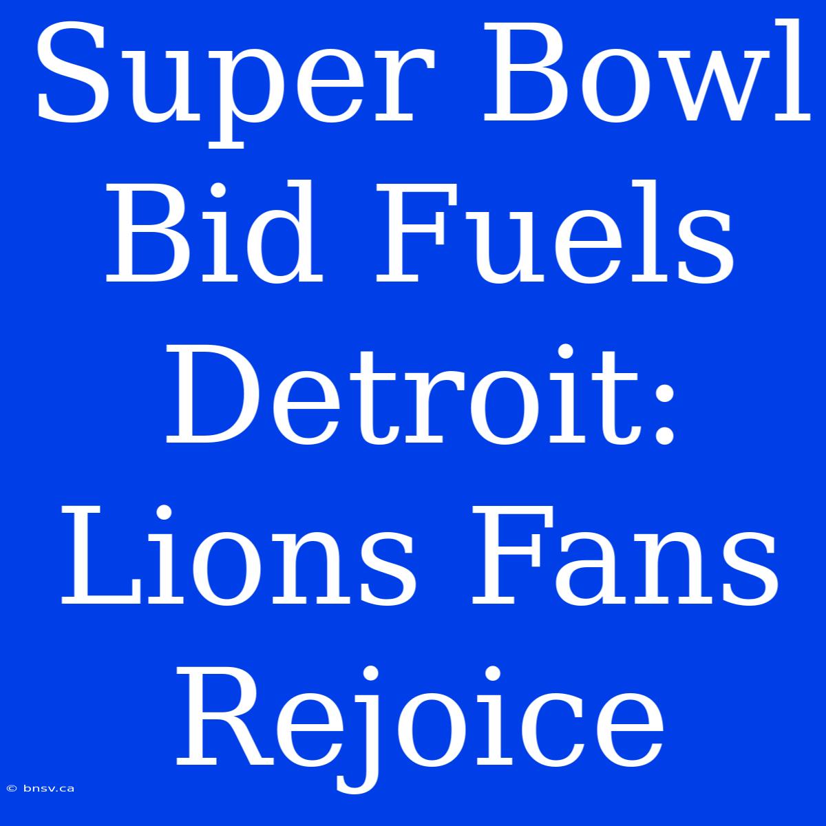 Super Bowl Bid Fuels Detroit: Lions Fans Rejoice