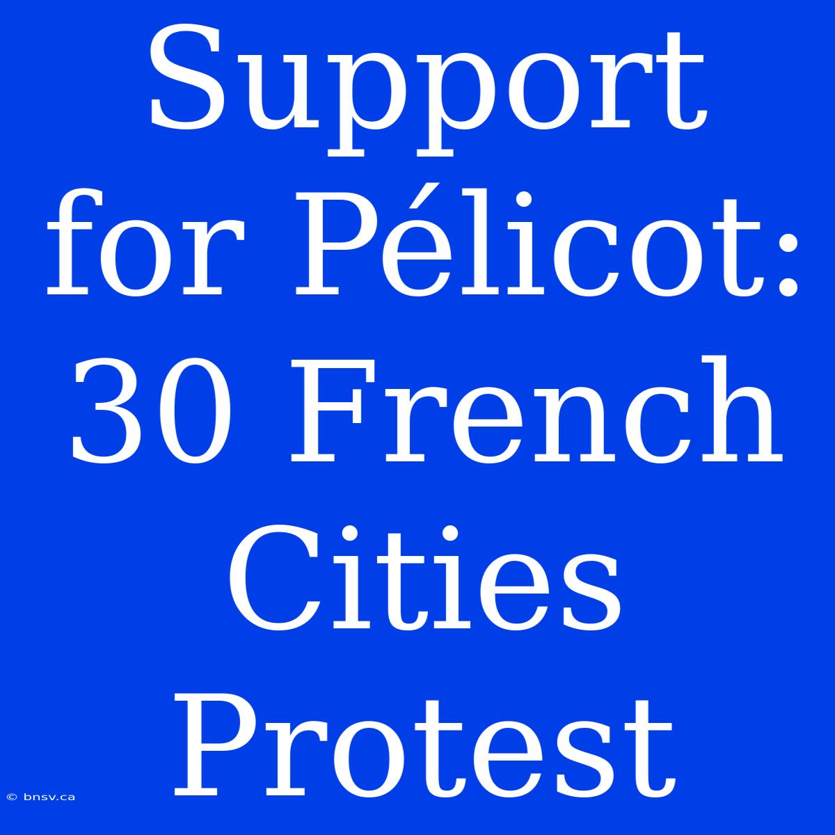 Support For Pélicot: 30 French Cities Protest