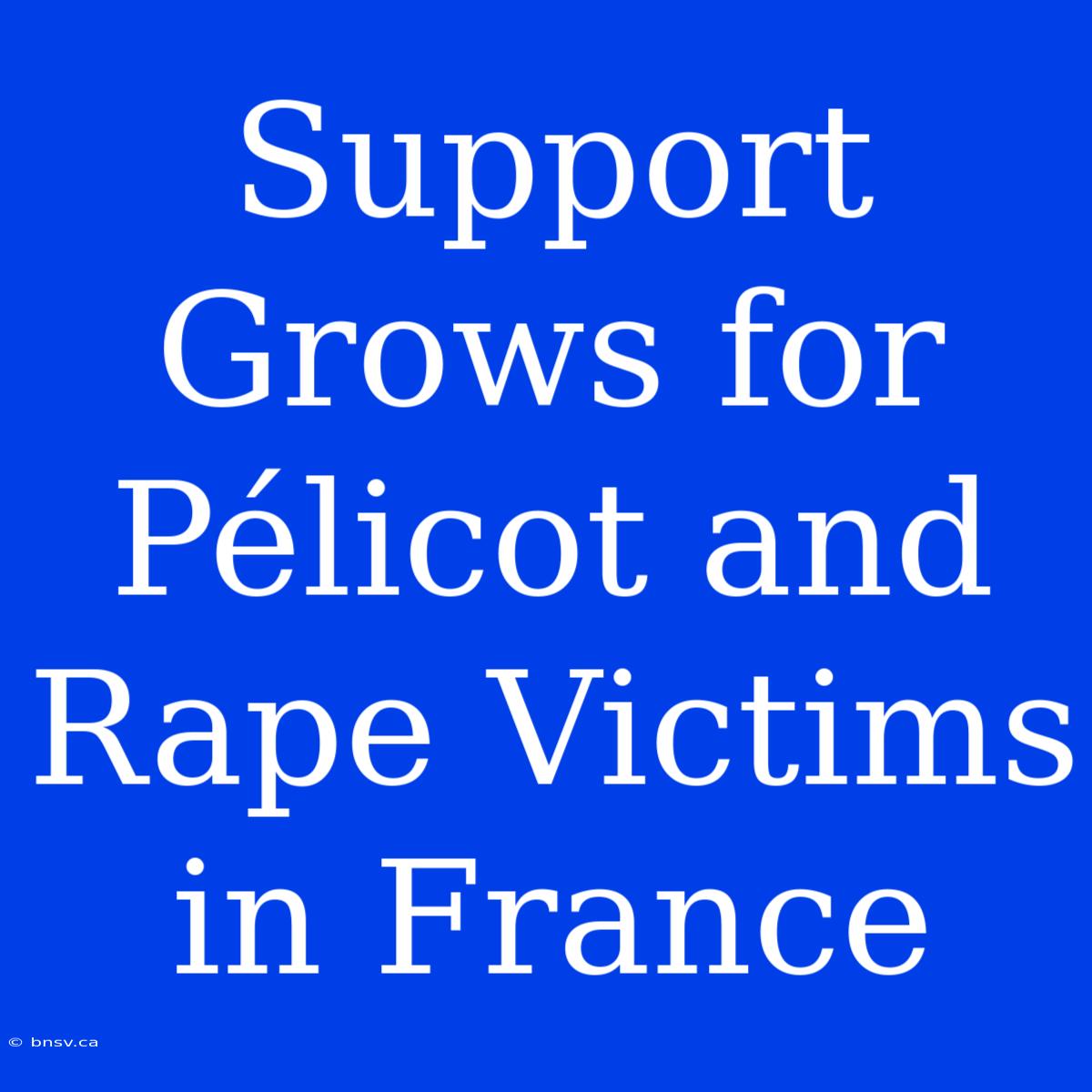 Support Grows For Pélicot And Rape Victims In France