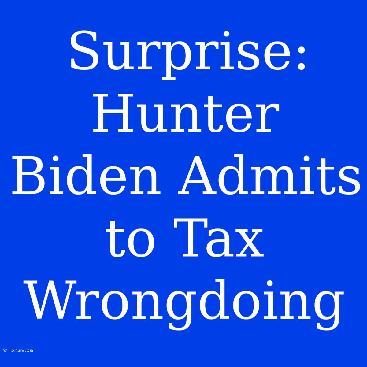 Surprise: Hunter Biden Admits To Tax Wrongdoing