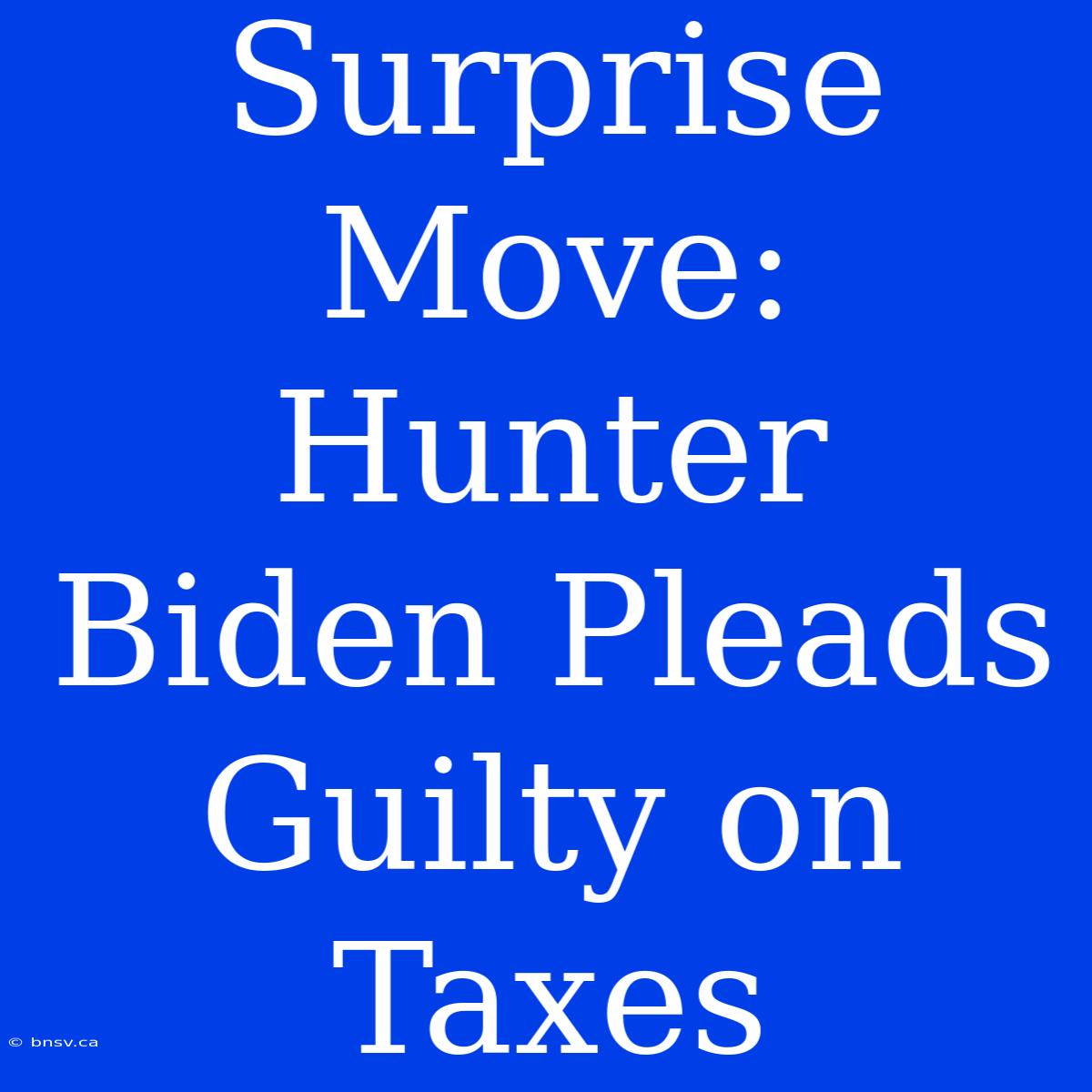 Surprise Move: Hunter Biden Pleads Guilty On Taxes