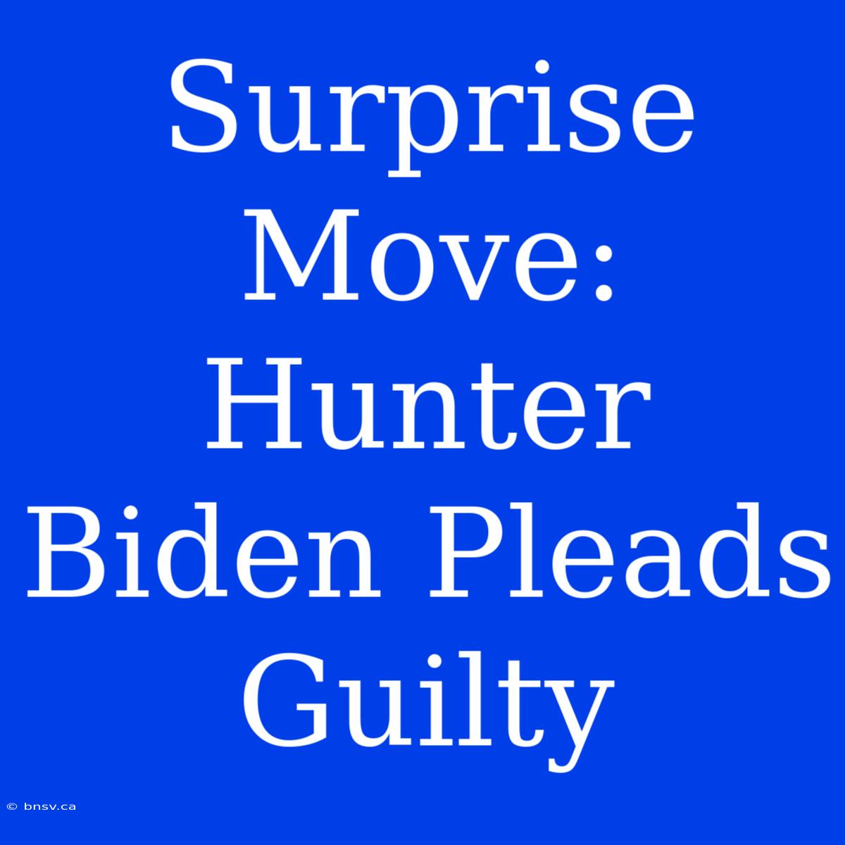 Surprise Move: Hunter Biden Pleads Guilty