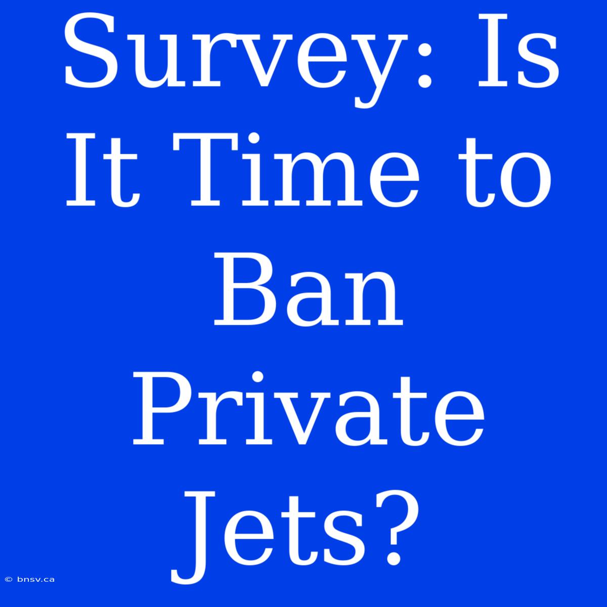 Survey: Is It Time To Ban Private Jets?