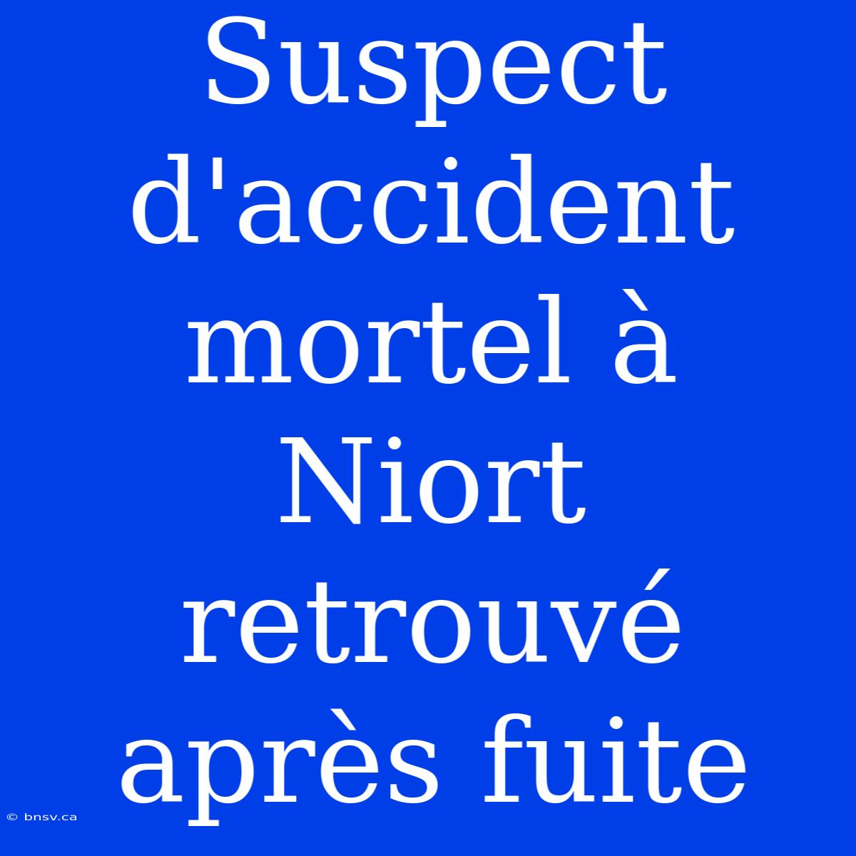 Suspect D'accident Mortel À Niort Retrouvé Après Fuite