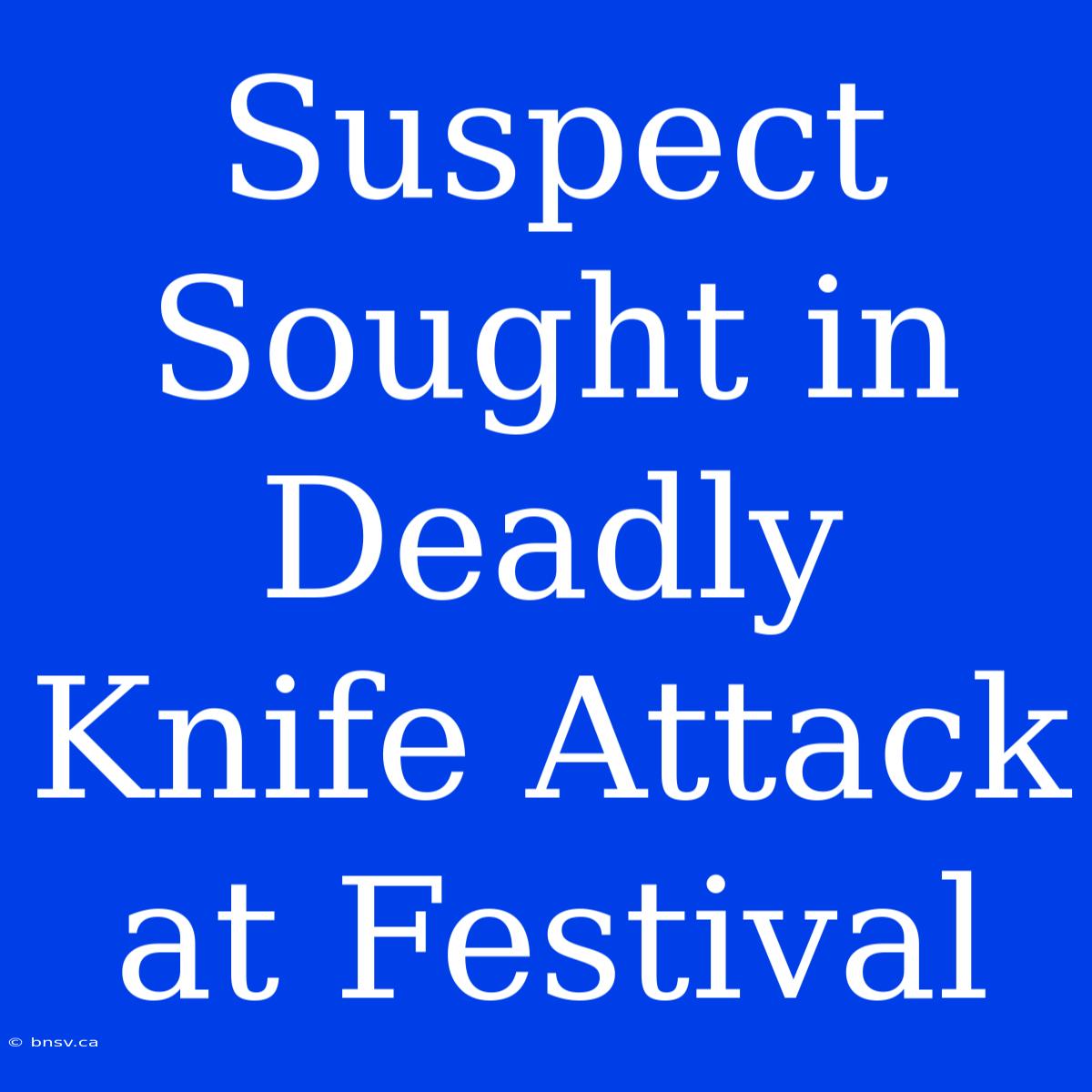 Suspect Sought In Deadly Knife Attack At Festival