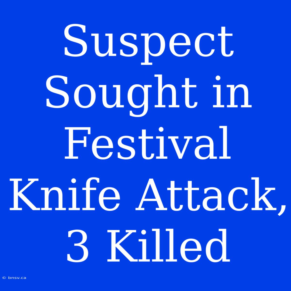 Suspect Sought In Festival Knife Attack, 3 Killed