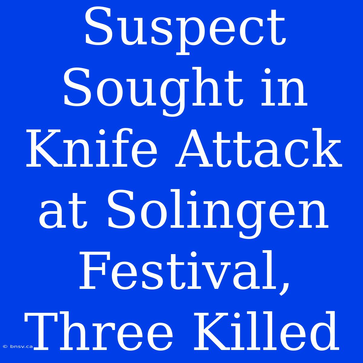 Suspect Sought In Knife Attack At Solingen Festival, Three Killed