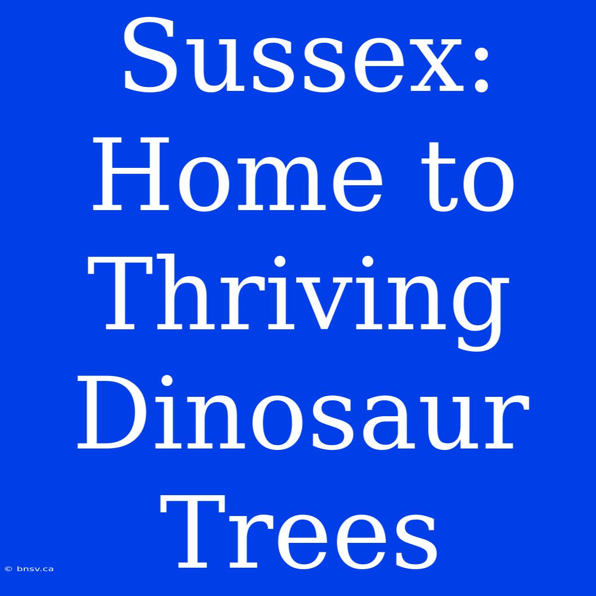 Sussex: Home To Thriving Dinosaur Trees