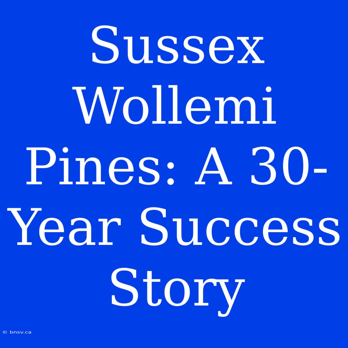 Sussex Wollemi Pines: A 30-Year Success Story