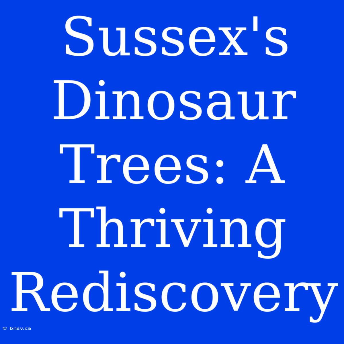 Sussex's Dinosaur Trees: A Thriving Rediscovery