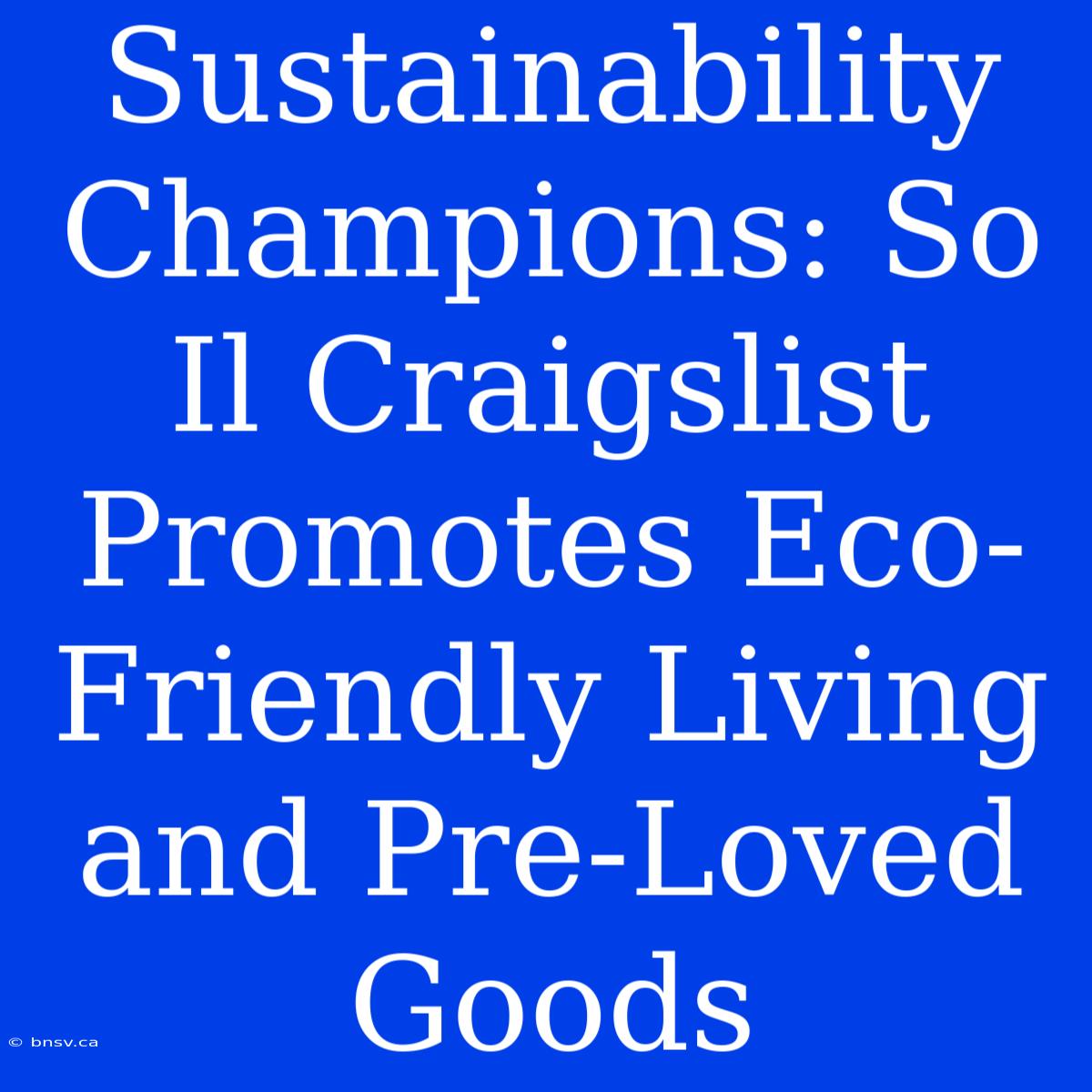 Sustainability Champions: So Il Craigslist Promotes Eco-Friendly Living And Pre-Loved Goods