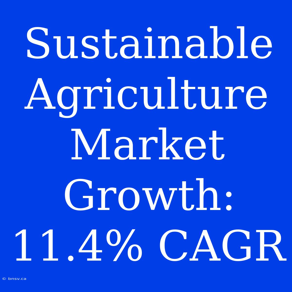 Sustainable Agriculture Market Growth: 11.4% CAGR