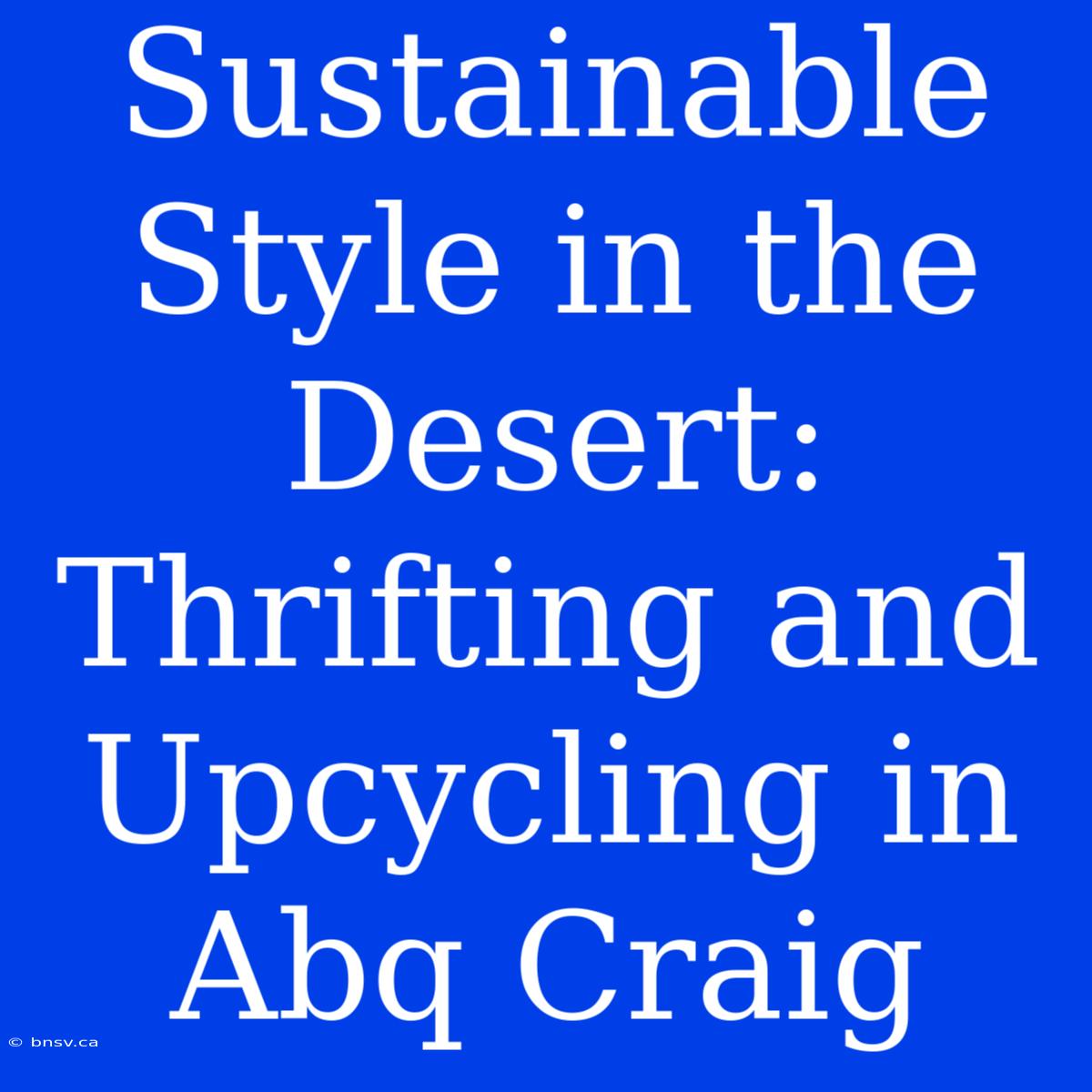 Sustainable Style In The Desert: Thrifting And Upcycling In Abq Craig