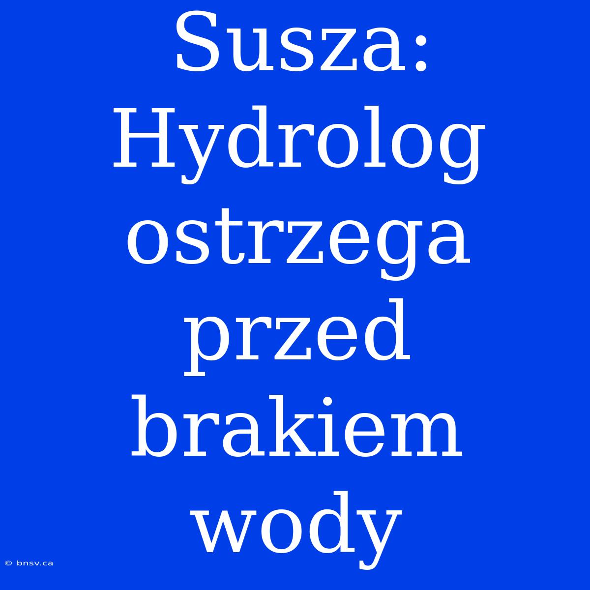 Susza: Hydrolog Ostrzega Przed Brakiem Wody