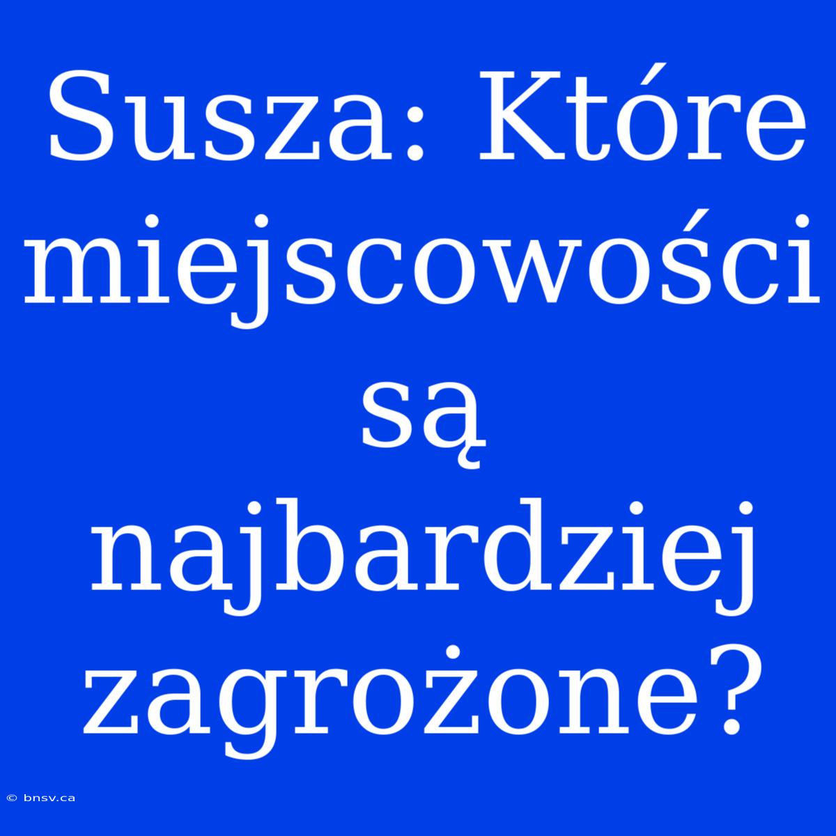 Susza: Które Miejscowości Są Najbardziej Zagrożone?