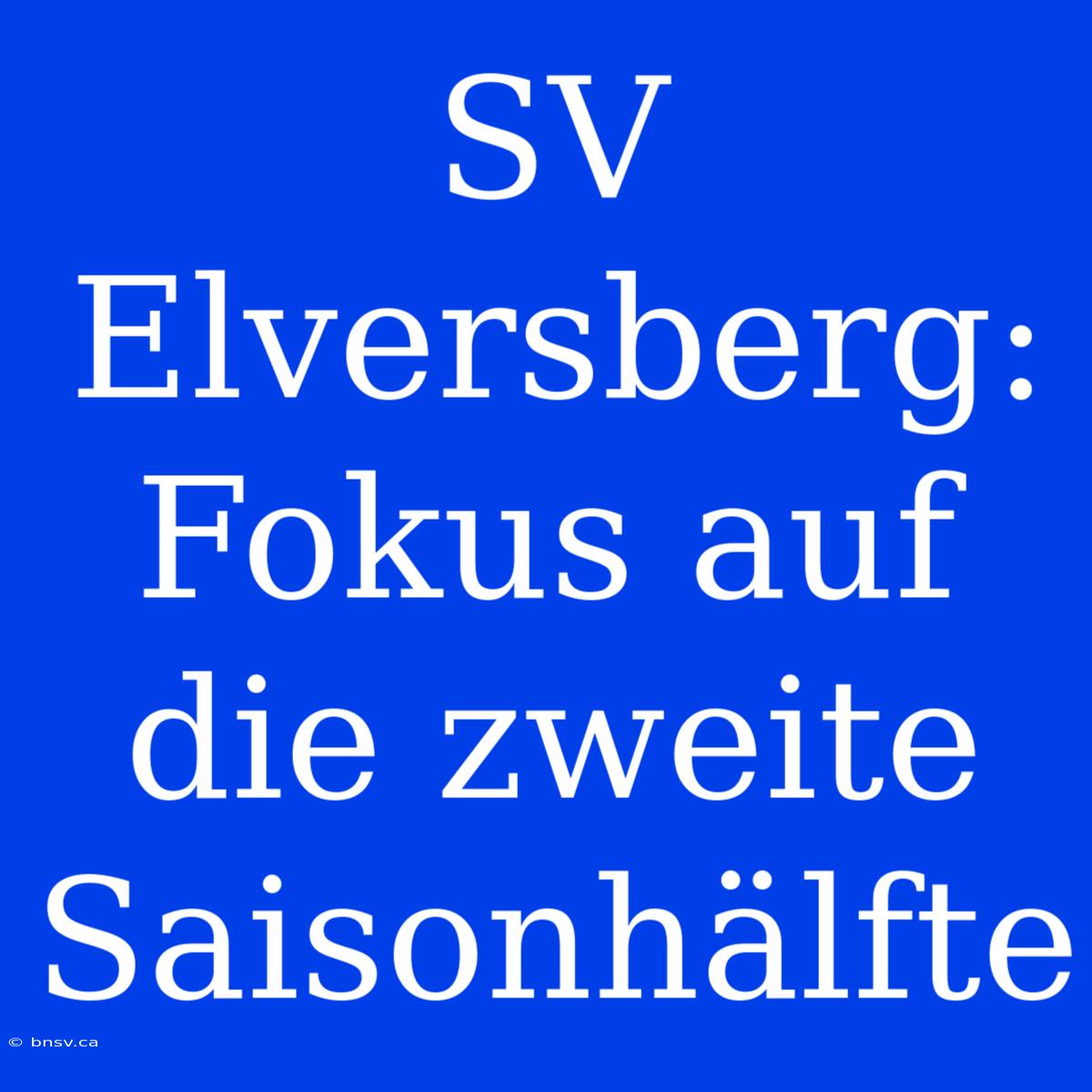 SV Elversberg: Fokus Auf Die Zweite Saisonhälfte