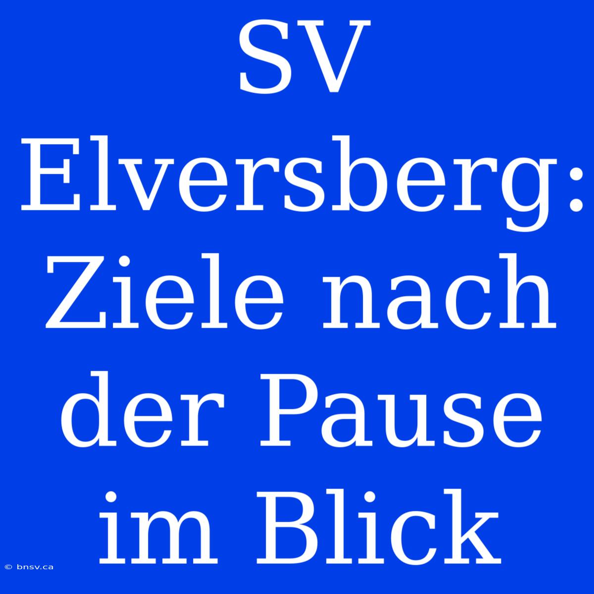 SV Elversberg: Ziele Nach Der Pause Im Blick