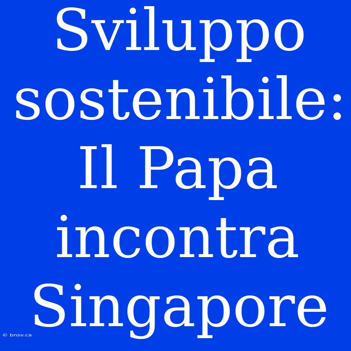 Sviluppo Sostenibile: Il Papa Incontra Singapore