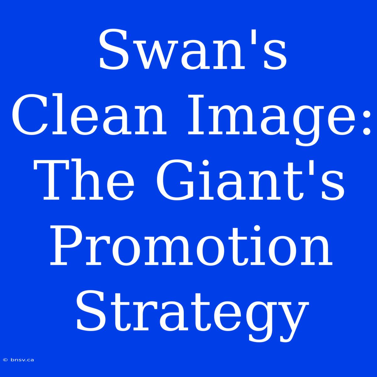 Swan's Clean Image: The Giant's Promotion Strategy