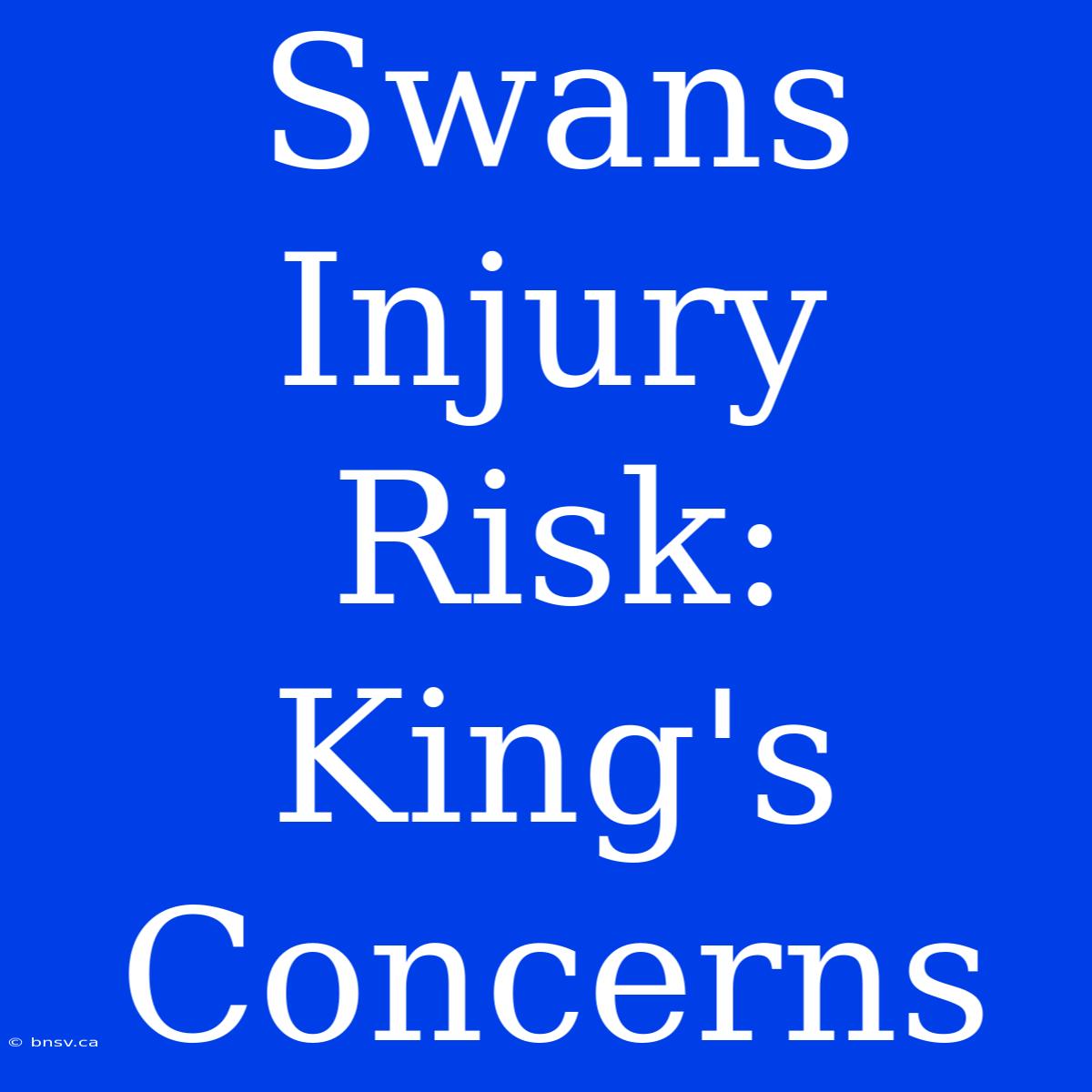 Swans Injury Risk: King's Concerns