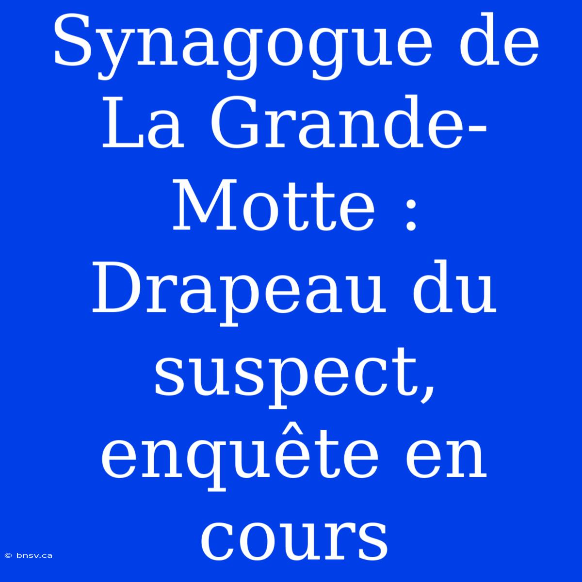 Synagogue De La Grande-Motte : Drapeau Du Suspect, Enquête En Cours