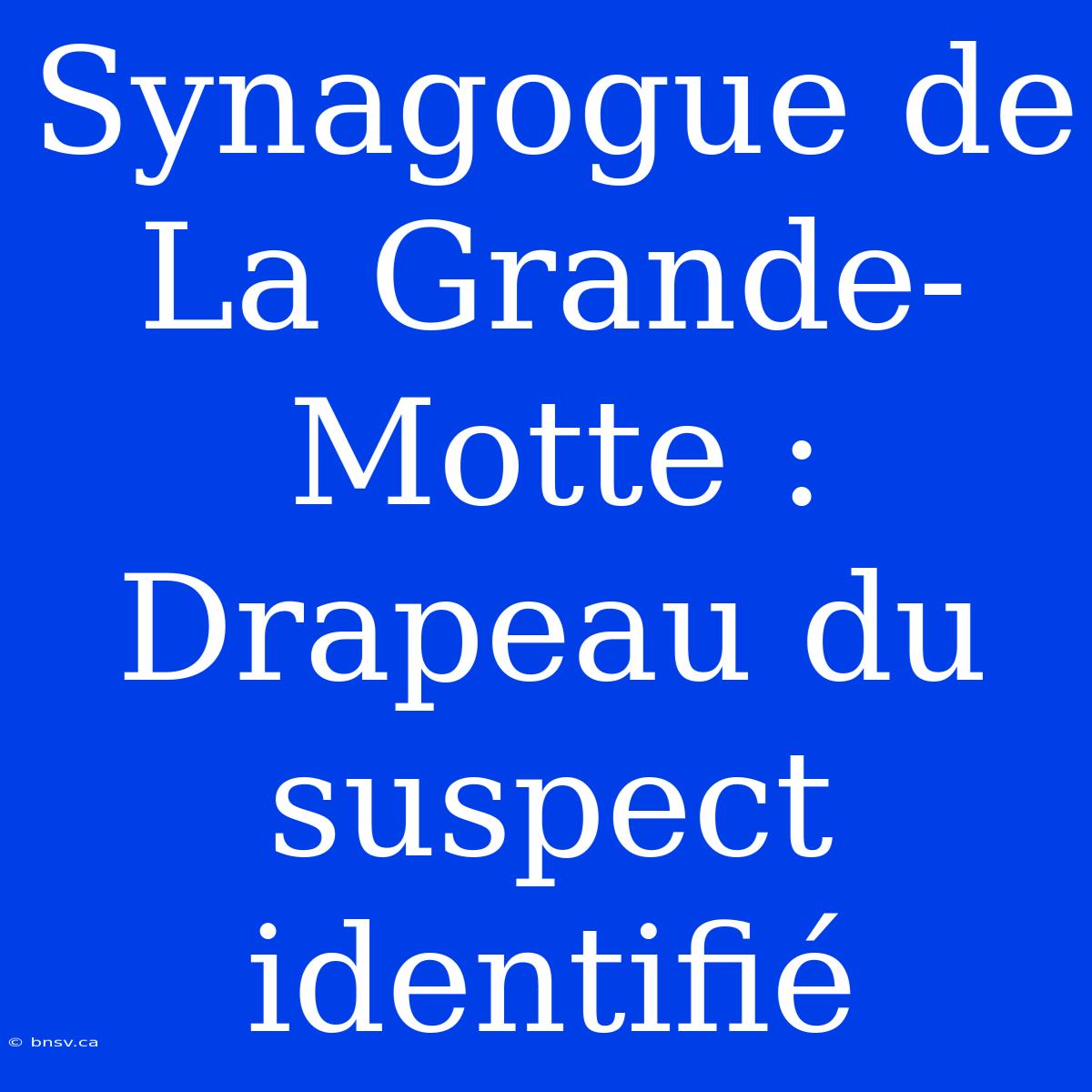 Synagogue De La Grande-Motte : Drapeau Du Suspect Identifié