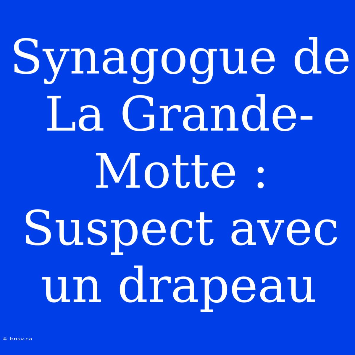 Synagogue De La Grande-Motte : Suspect Avec Un Drapeau