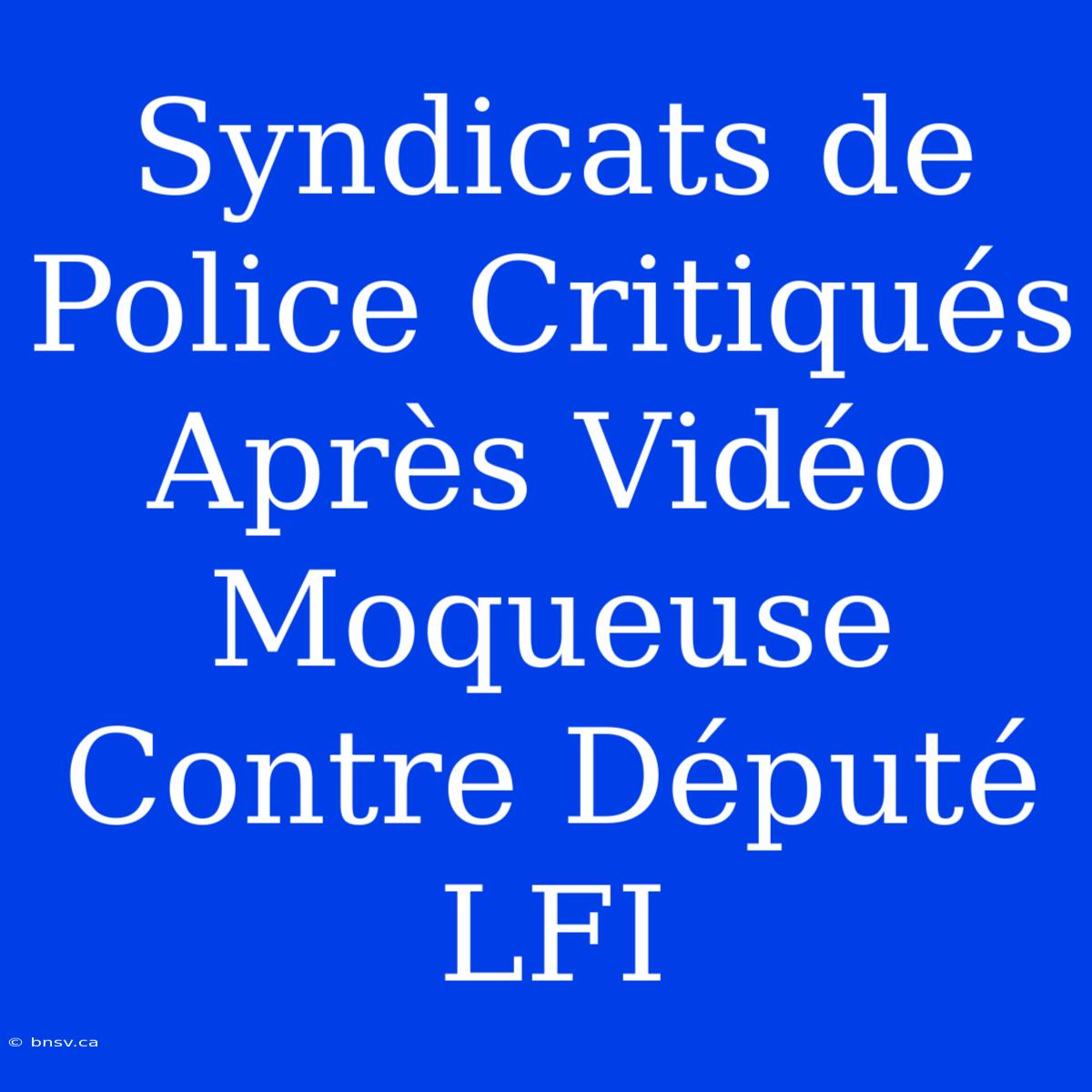 Syndicats De Police Critiqués Après Vidéo Moqueuse Contre Député LFI