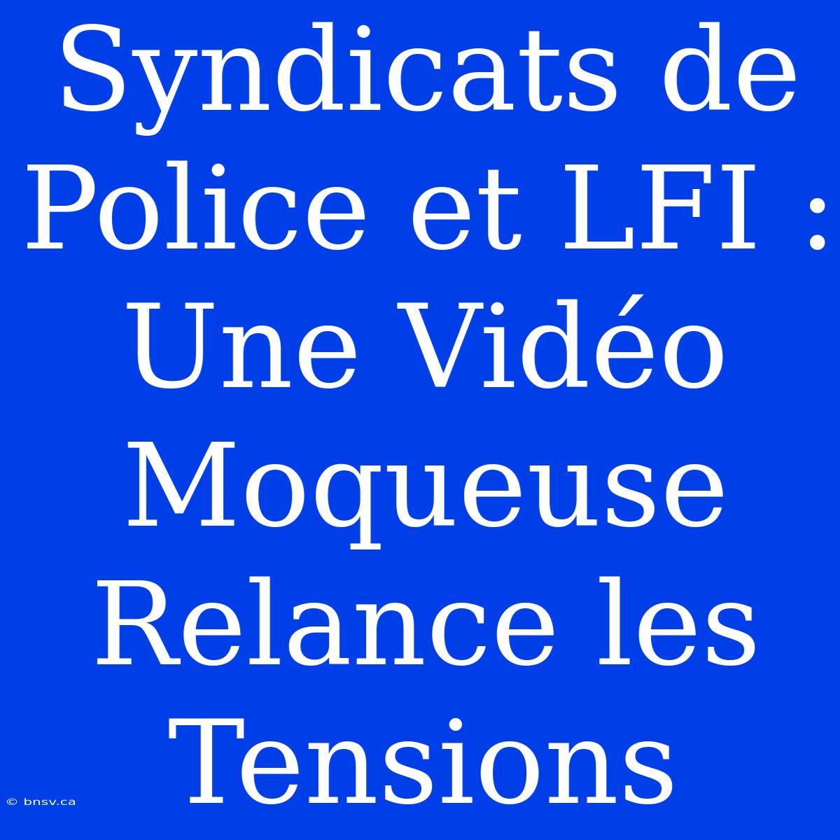 Syndicats De Police Et LFI : Une Vidéo Moqueuse Relance Les Tensions