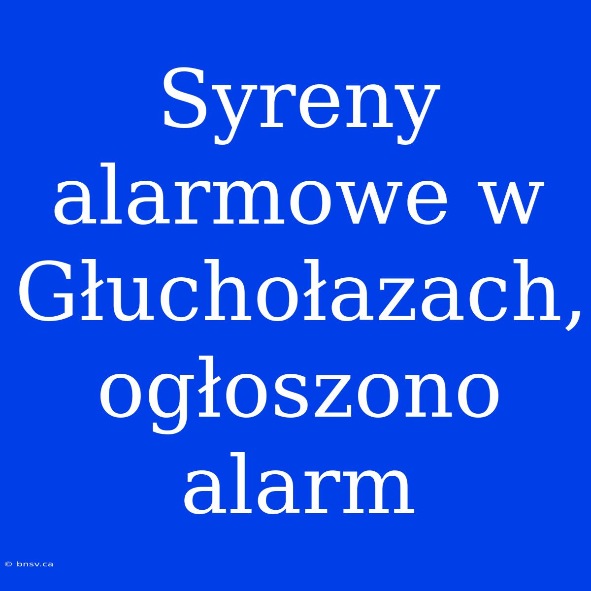 Syreny Alarmowe W Głuchołazach, Ogłoszono Alarm