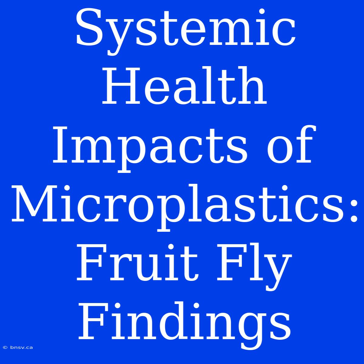 Systemic Health Impacts Of Microplastics: Fruit Fly Findings