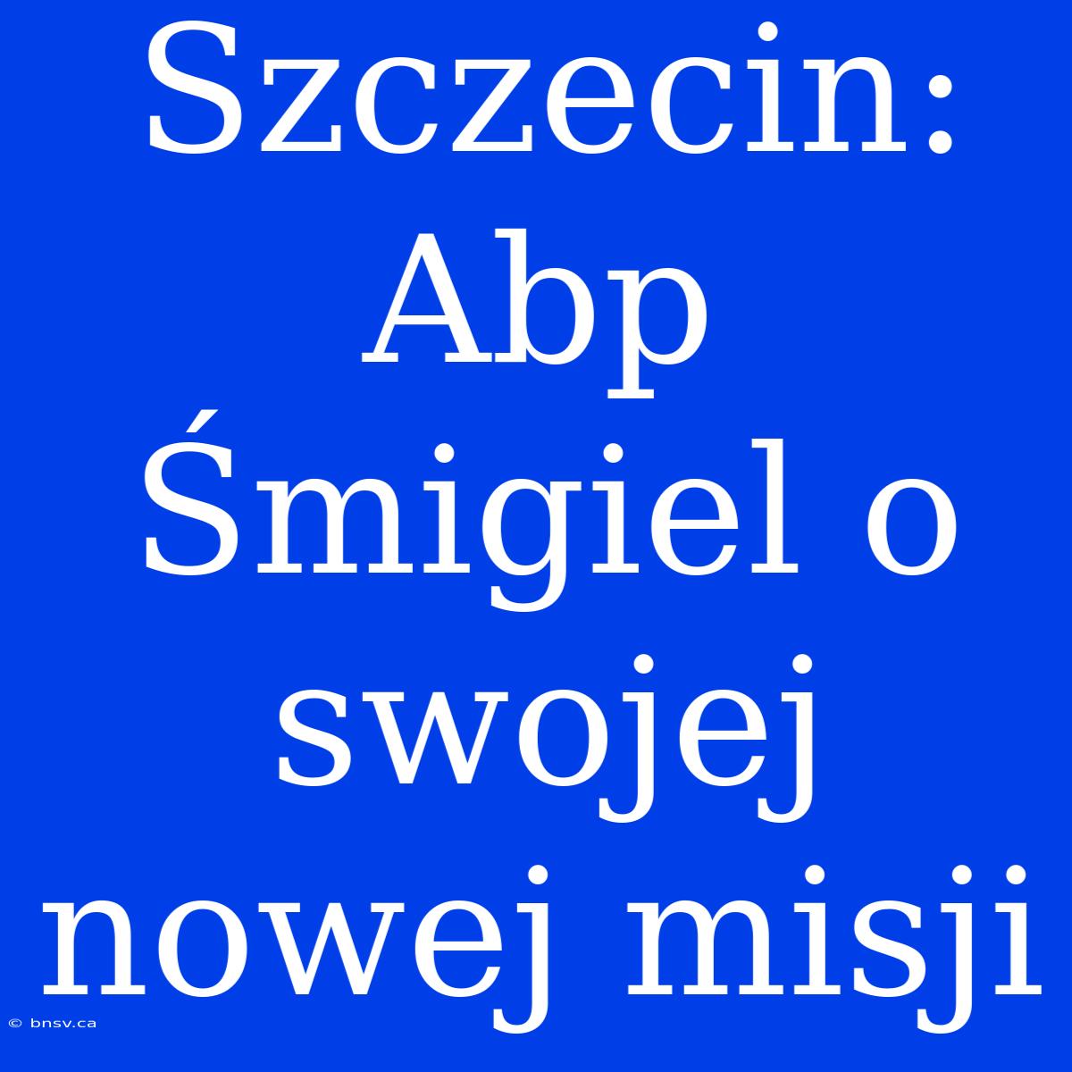 Szczecin: Abp Śmigiel O Swojej Nowej Misji