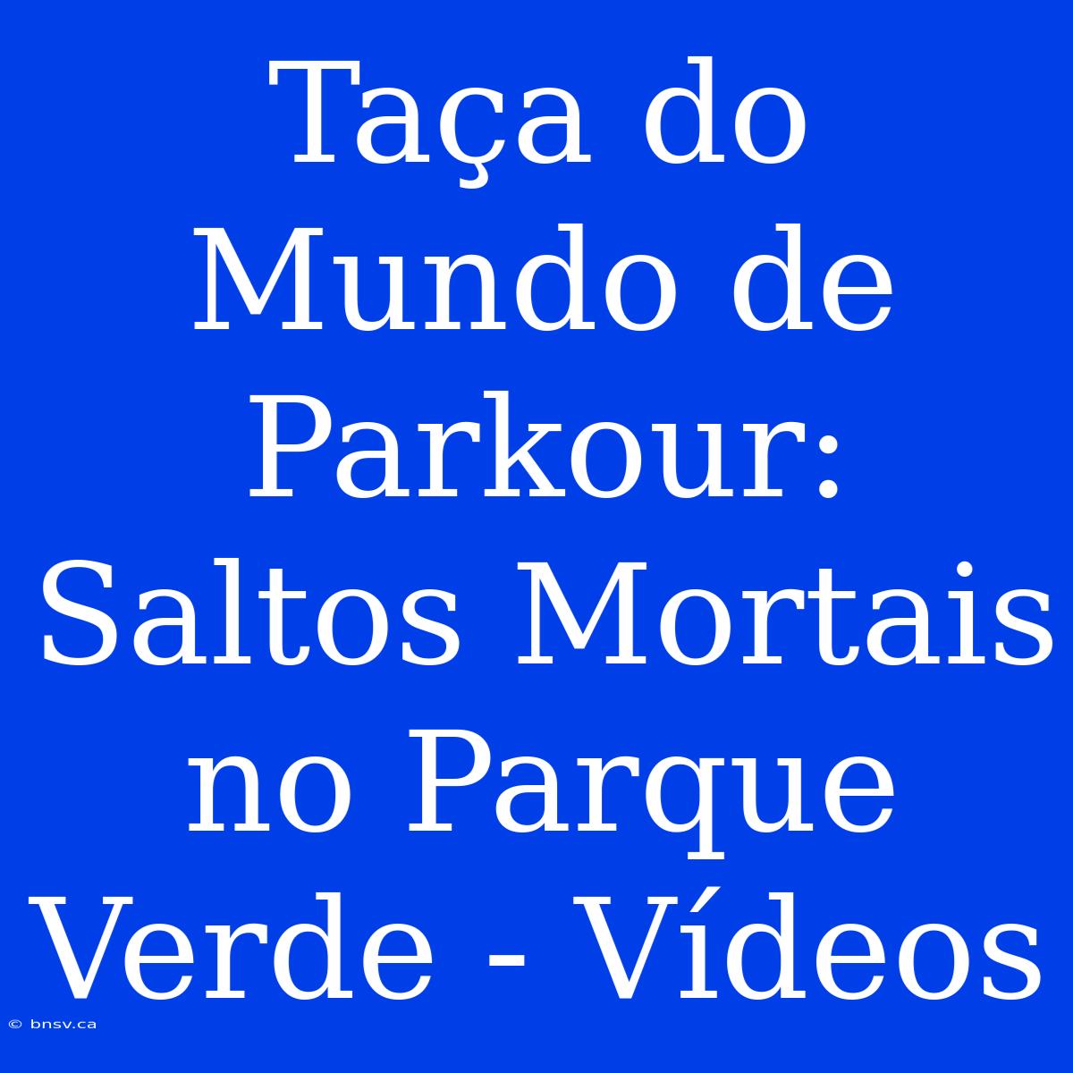 Taça Do Mundo De Parkour: Saltos Mortais No Parque Verde - Vídeos