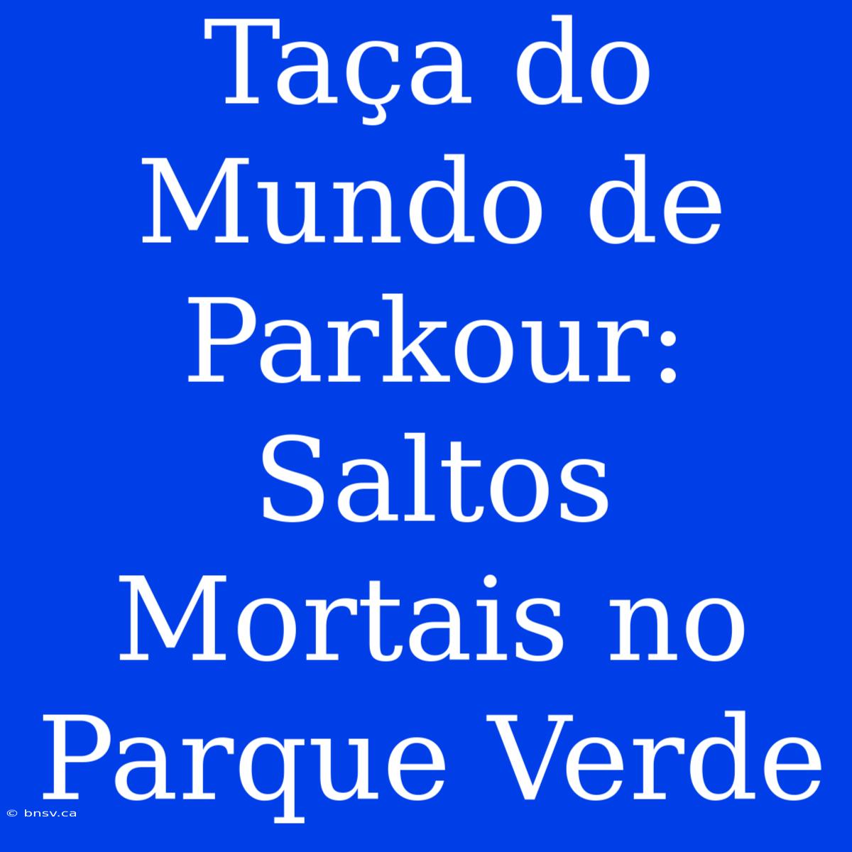 Taça Do Mundo De Parkour: Saltos Mortais No Parque Verde