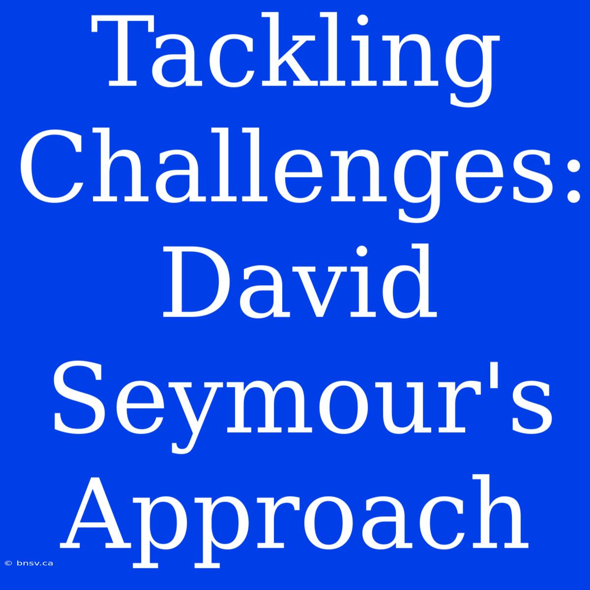 Tackling Challenges: David Seymour's Approach