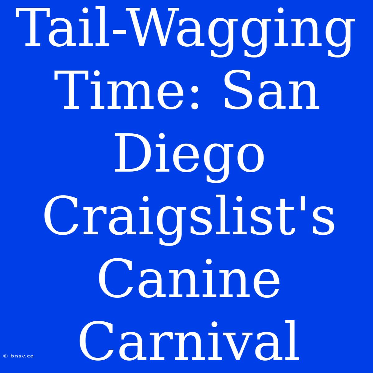 Tail-Wagging Time: San Diego Craigslist's Canine Carnival