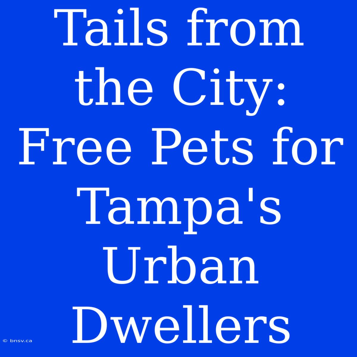 Tails From The City: Free Pets For Tampa's Urban Dwellers