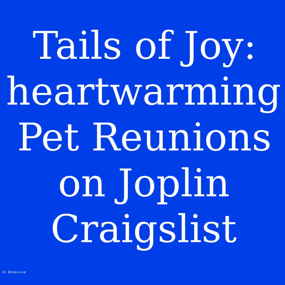 Tails Of Joy: Heartwarming Pet Reunions On Joplin Craigslist