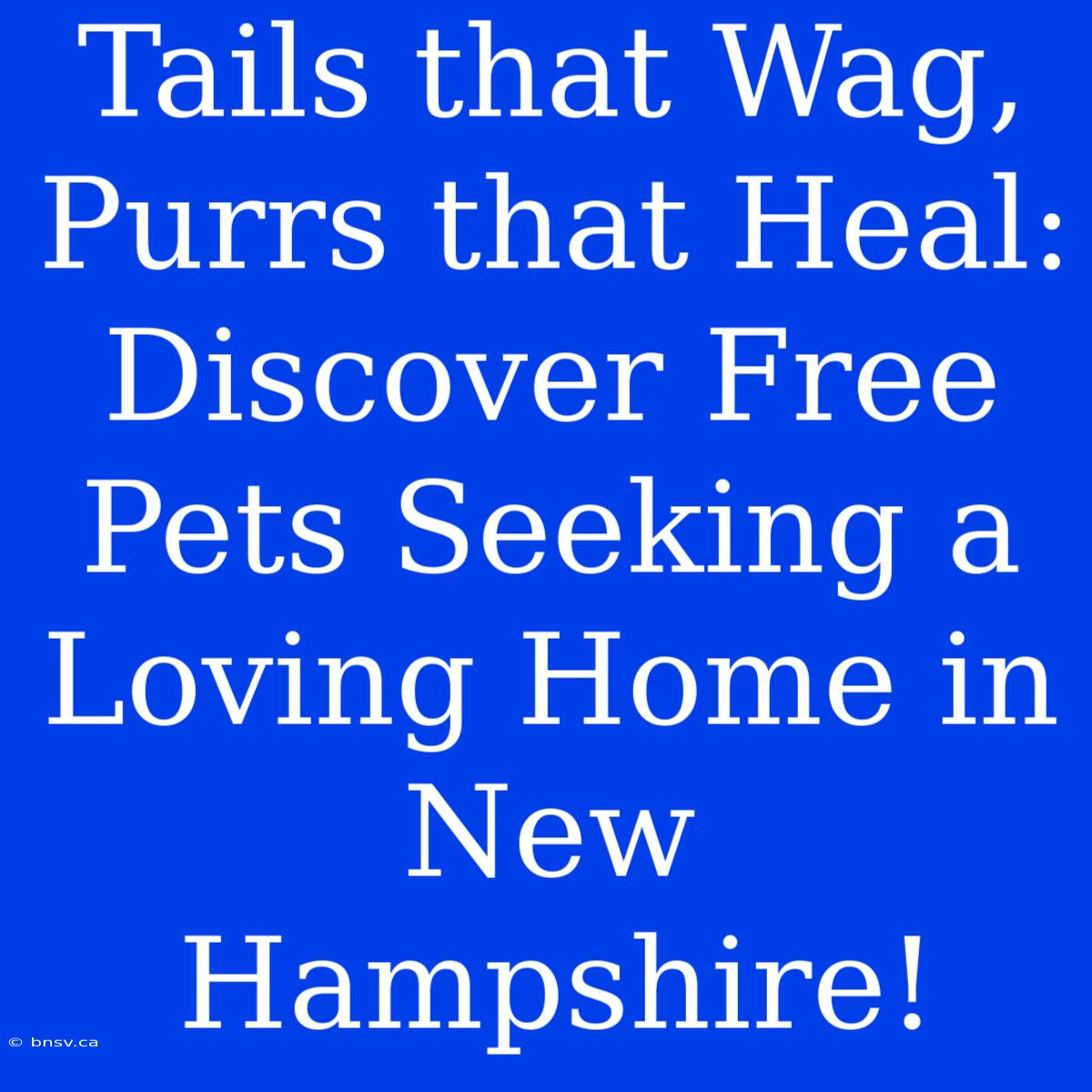 Tails That Wag, Purrs That Heal: Discover Free Pets Seeking A Loving Home In New Hampshire!